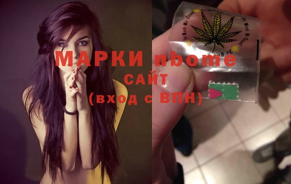 a pvp Инсар