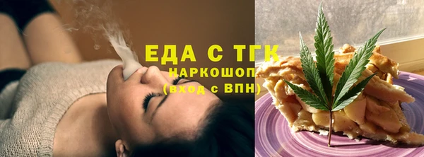 гидра Инта
