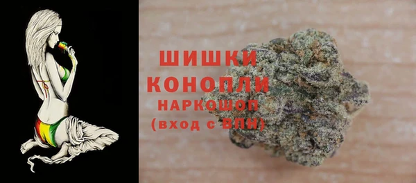гидра Инта