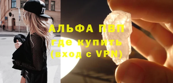 гидра Инта