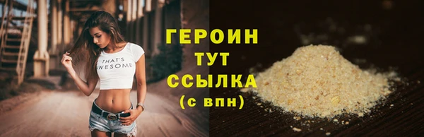гидра Инта