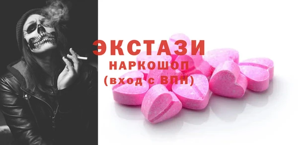гидра Инта