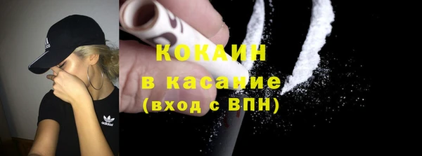 гидра Инта