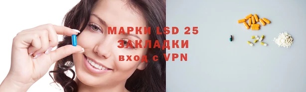 a pvp Инсар