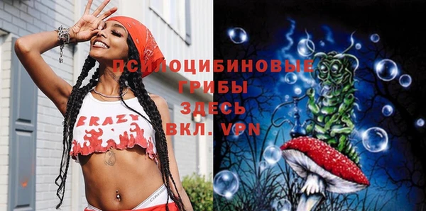 a pvp Инсар