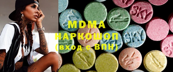 гидра Инта