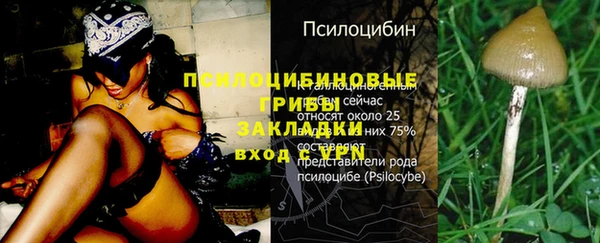 гидра Инта