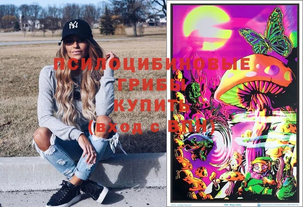 a pvp Инсар